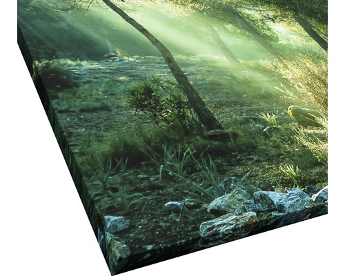 Leinwandbild mit Waldmotiv und Sonnenstrahlen