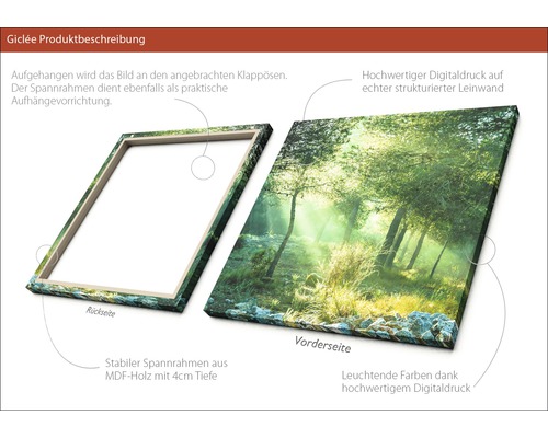 Detailansicht einer Giclée Leinwand mit Waldmotiv, die die Aufhängevorrichtung und den stabilen MDF Holzrahmen zeigt