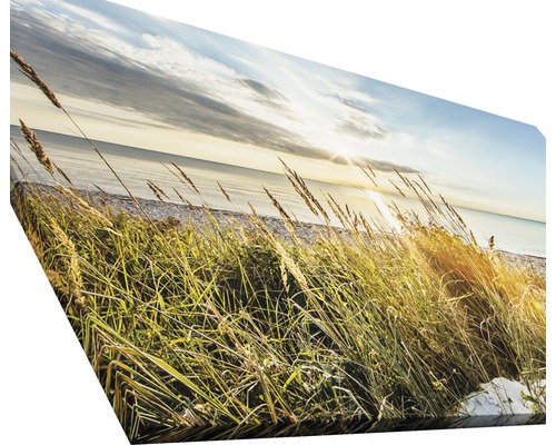 Leinwanddruck mit Küstenlandschaft und Gras