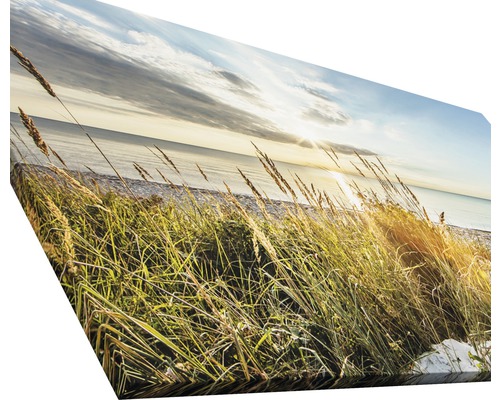Leinwandbild mit Gras am Strand und Meer