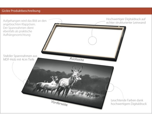 Leinwandbild mit einer Schwarz-Weiß-Fotografie von Hirschen, Rückseite mit MDF Rahmen