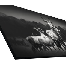 Giclée Leinwandbild Herd Of Deer 60x120 cm