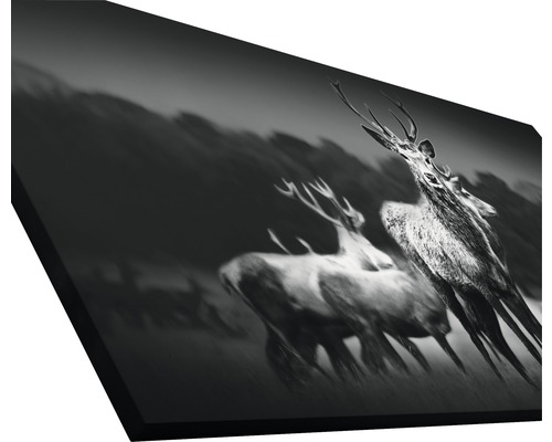 Leinwandbild mit einer Abbildung von Hirschen