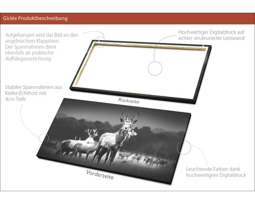 Giclée Kunstdruck mit Hirschmotiven auf Leinwand und Holzrahmen
