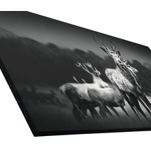 Giclée Leinwandbild Herd Of Deer 80x160 cm