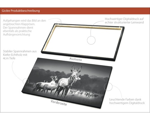 Leinwandbild mit Hirschmotiv und Holzrahmen