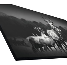 Giclée Leinwandbild Herd Of Deer 90x180 cm