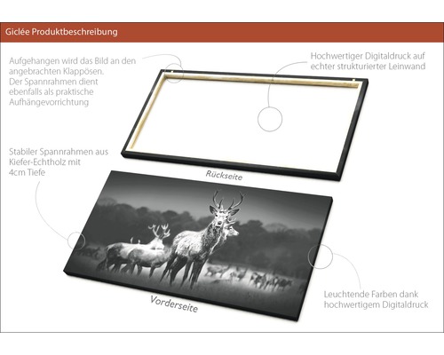 Produktbeschreibung Giclée Leinwandbild: Rückseite mit Klappösen und Spannrahmen, Vorderseite mit Hirsch Motiv.