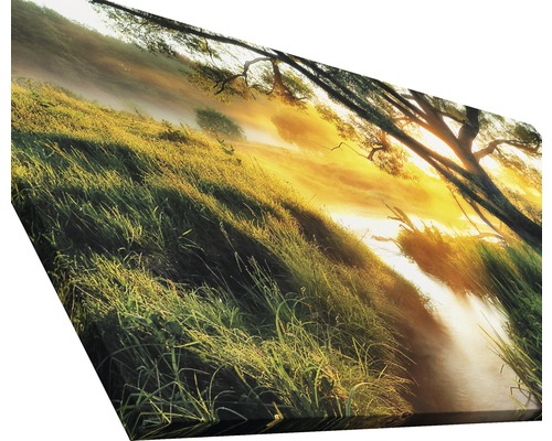 Leinwanddruck mit Naturlandschaft und hohem Gras