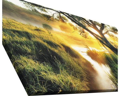 Leinwanddruck mit Gras, Bäumen und Sonnenlicht.