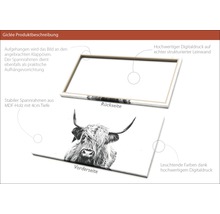 Produktdarstellung eines Giclée Kunstdrucks mit MDF Rahmen und Leinwand
