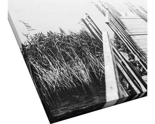 Leinwandbild mit Steg und Schilf