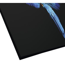 Leinwandbild mit blauem Papagei