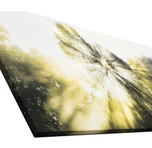 Leinwanddruck mit Waldmotiv und Lichteffekten