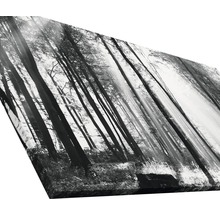 Giclée Leinwandbild Sun drenched forest I 50x100 cm