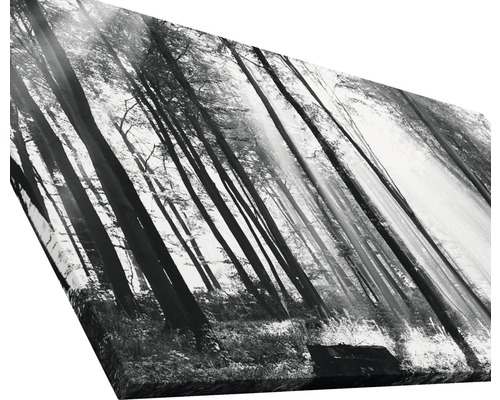 Leinwanddruck mit Schwarzweiß-Waldmotiv