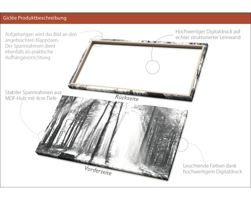 Detailansicht eines Leinwandbildes mit Waldmotiv, das die Rückseite mit MDF Rahmen und Aufhängevorrichtung zeigt