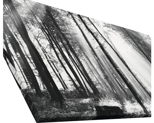 Schwarzweiß-Leinwanddruck eines Waldes