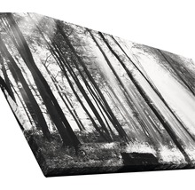 Giclée Leinwandbild Sun drenched forest I 100x200 cm