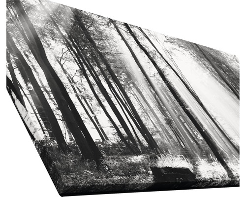 Schwarzweiß-Fotoleinwand mit Waldmotiv