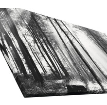 Giclée Leinwandbild Sun drenched forest I 80x160 cm