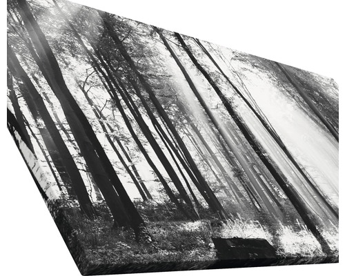 Schwarzweiß-Fotografie eines Waldes auf Leinwand