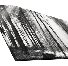 Giclée Leinwandbild Sun drenched forest I 90x180 cm