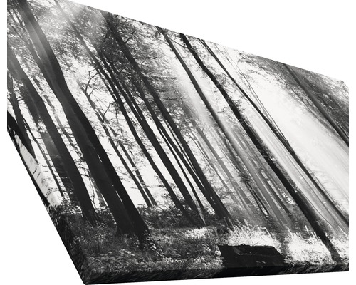 Leinwandbild mit Waldmotiv in Schwarzweiß