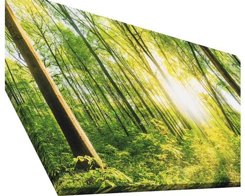 Leinwanddruck mit Waldmotiv und Sonnenschein
