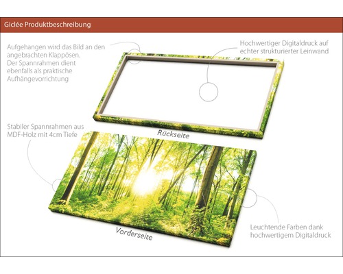 Giclée Kunstdruck mit Rahmen aus MDF-Holz, Vorderseite mit Waldmotiv