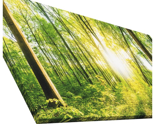 Leinwanddruck mit Waldmotiv und Sonneneinfall