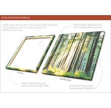 Leinwandbild mit Waldmotiv und Holzrahmen