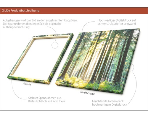Leinwandbild mit Waldmotiv und Holzrahmen