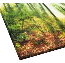 Giclée Leinwandbild Mystic Light II 100x100 cm