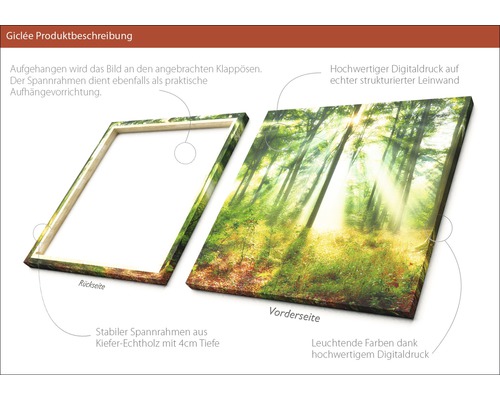 Giclée Kunstdruck auf Leinwand mit Waldmotiv und Holzrahmen