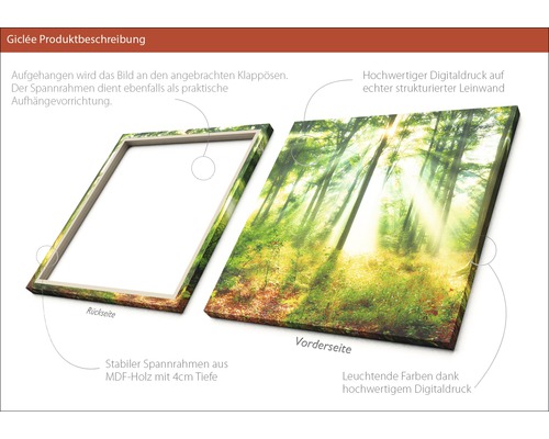 Giclée Kunstdruck auf Leinwand mit Waldmotiv und Holzrahmen