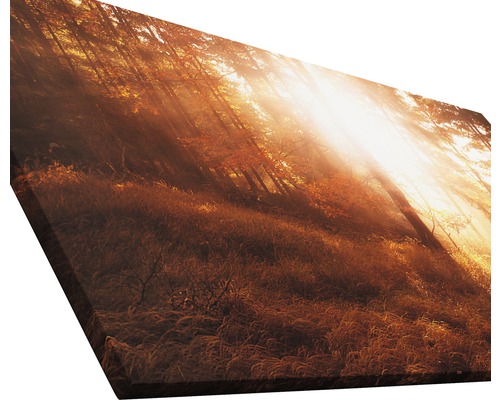 Leinwandbild mit Waldmotiv und Sonnenstrahlen
