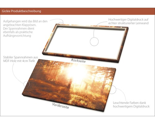 Produktbild eines Keilrahmens mit Waldmotiv, bestehend aus MDF Holz mit vier Zentimeter Tiefe