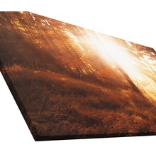 Giclée Leinwandbild Autumn forest III 80x160 cm
