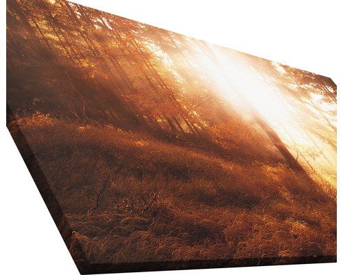 Leinwandbild mit Waldmotiv und Sonnenstrahlen
