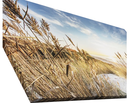 Leinwandbild mit Gras und Dünenlandschaft