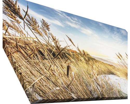 Leinwandbild mit Gräsern und Himmel