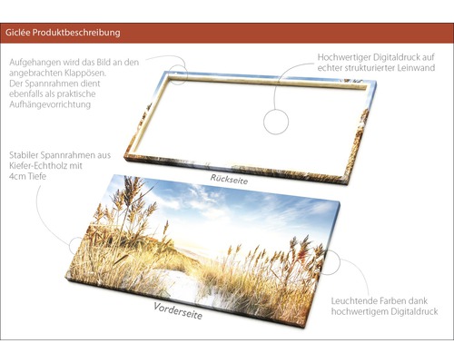 Giclée Leinwandbild mit Kiefernholzrahmen, Vorder- und Rückseite Ansicht