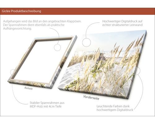 Giclée Kunstdruck auf Leinwand mit Spannrahmen aus MDF-Holz