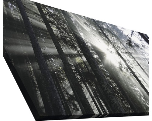 Dekorative Leinwand mit Waldmotiv und Sonnenlicht