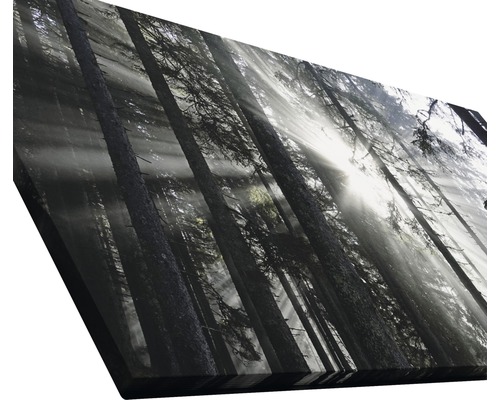 Leinwandbild mit Waldmotiv und Sonneneinstrahlung