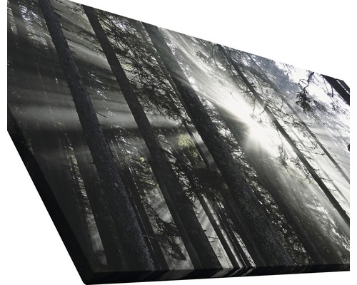 Leinwandbild mit Waldmotiv und Sonnenstrahlen