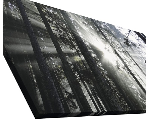 Leinwandbild mit Waldmotiv und Sonneneinstrahlung