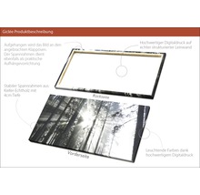 Giclée Leinwandbild Sundrenched Forest IV 80x160 cm