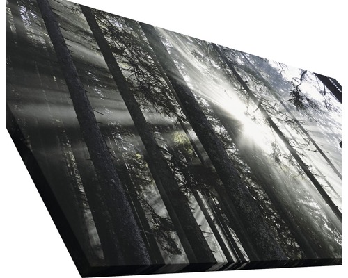 Wandbild mit Waldmotiv und Sonnenstrahlen